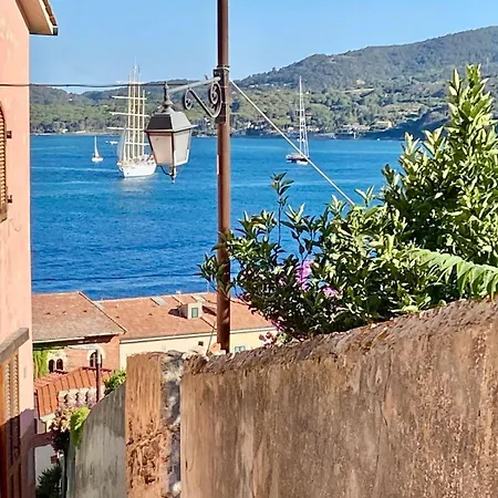 La Cartomante Di Bonaparte Daire